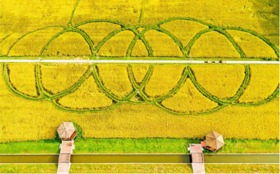 全域土地综合整治，广州全域土地综合整治，白云区全域土地综合整治1