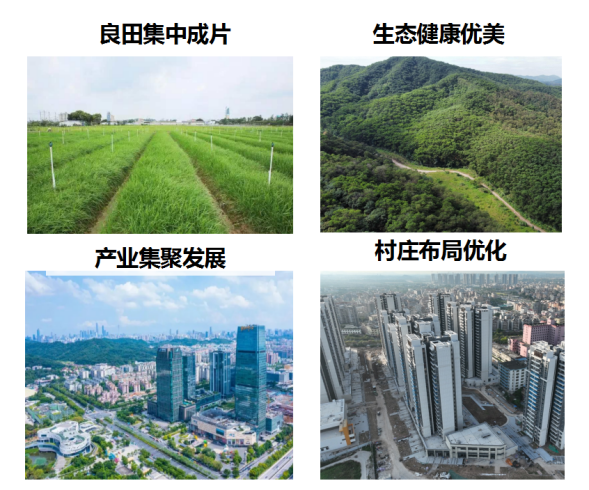 全域土地综合整治，广州全域土地综合整治，白云区全域土地综合整治2