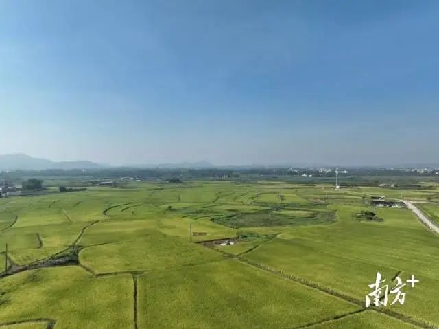 全域土地综合整治，高州全域土地综合整治，茂名全域土地综合整治