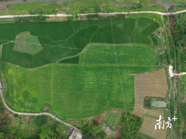 全域土地综合整治，兴宁市全域土地综合整治，石马镇全域土地综合整治1