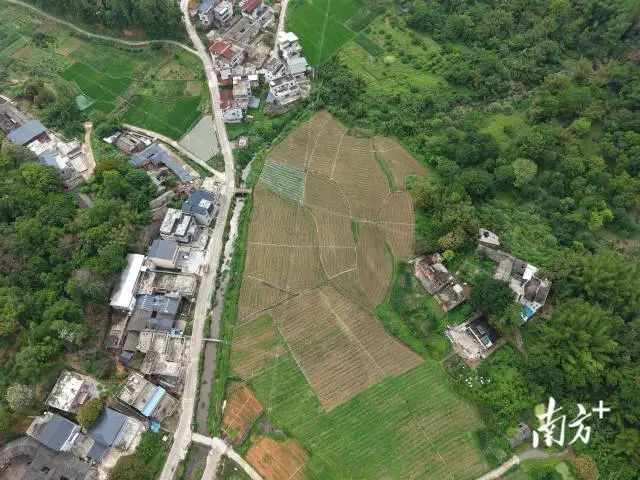 全域土地综合整治，兴宁市全域土地综合整治，石马镇全域土地综合整治2