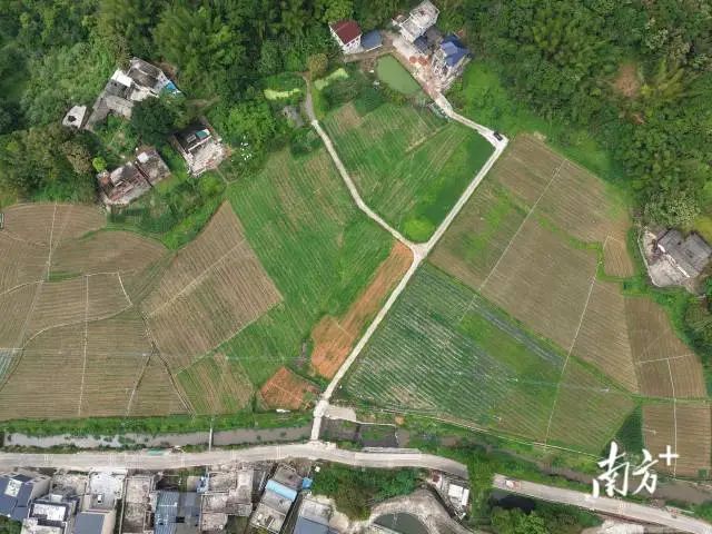 全域土地综合整治，兴宁市全域土地综合整治，石马镇全域土地综合整治3