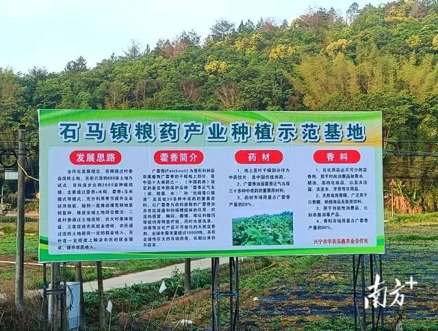 全域土地综合整治，兴宁市全域土地综合整治，石马镇全域土地综合整治4